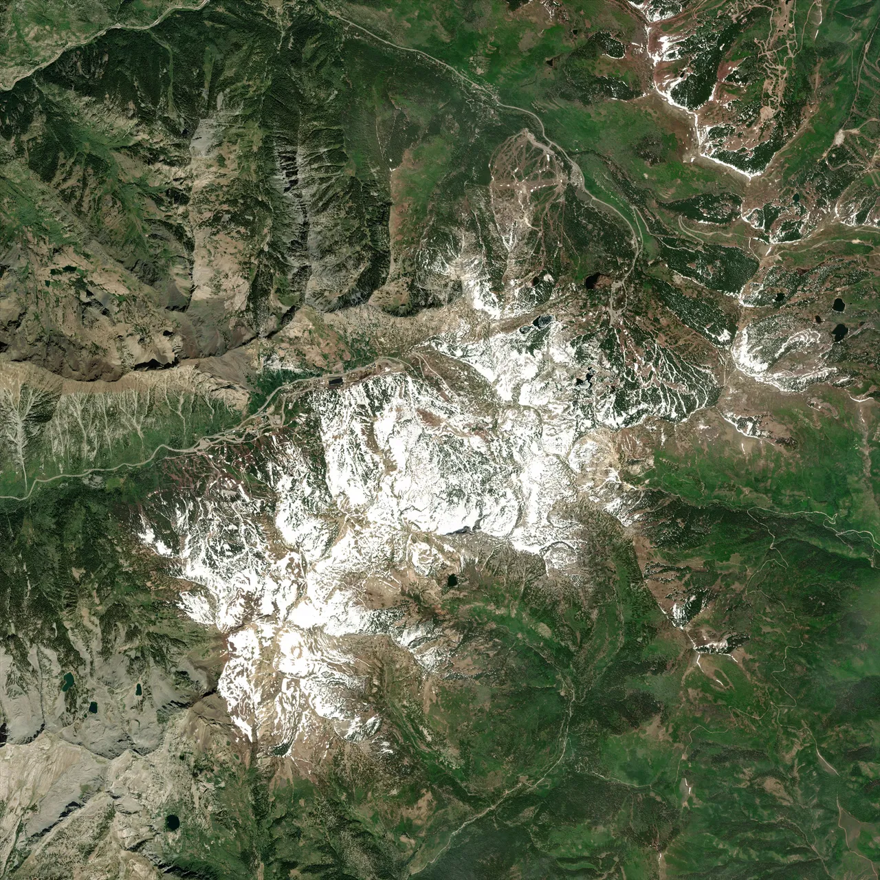 A top-down satellite colour image of the mountain range the terrain was built from, showing dark green forested slopes, bare tan ridges, and a broad snowfield through the middle of the frame.