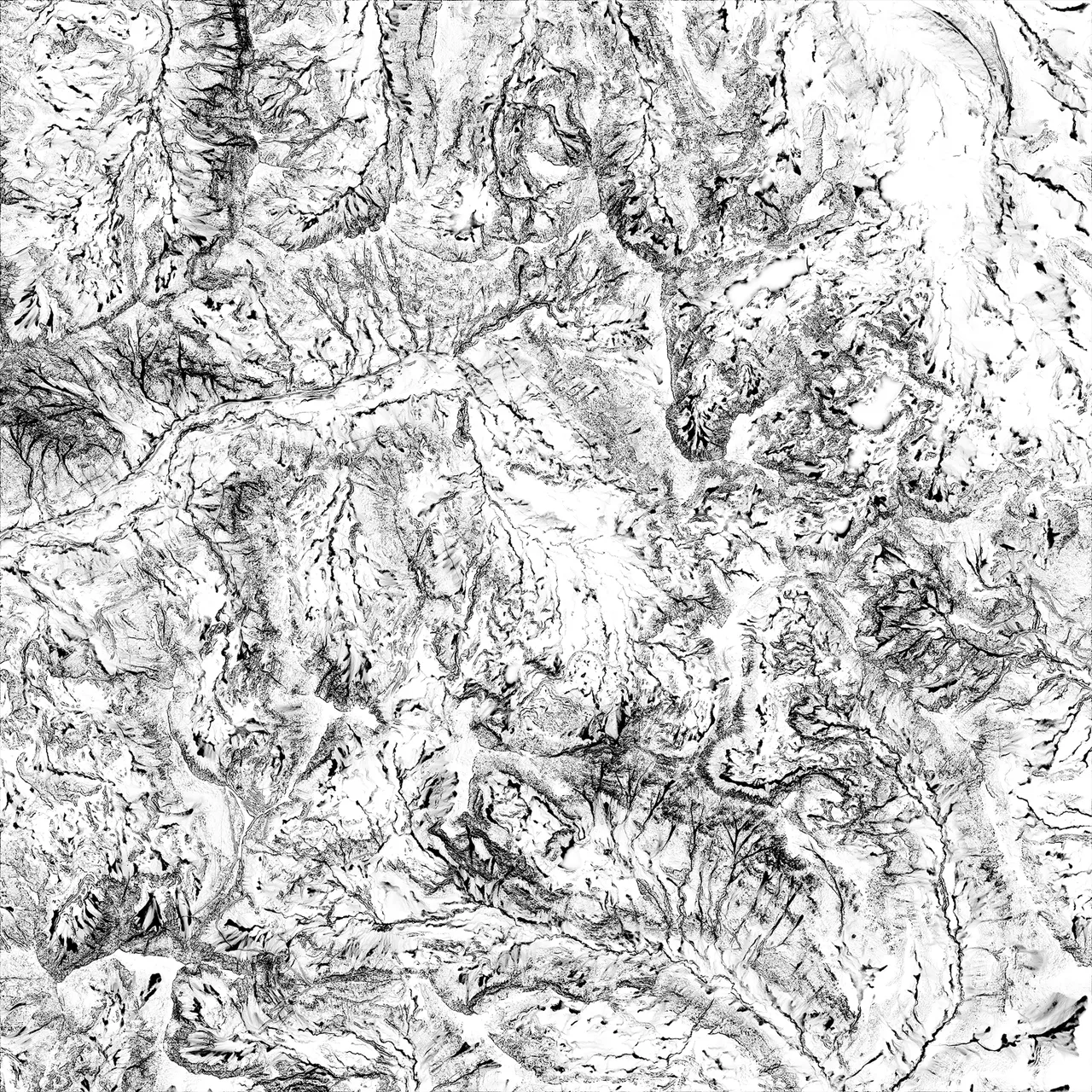 A near-white soil distribution mask, with fine dark drainage lines and slope textures branching across almost the entire terrain.