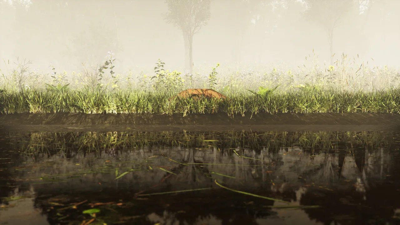 A view from just above a still pond. A box turtle sits low in a band of tall grass on the far bank, its shell the one warm note against pale wildflowers and fog, with the whole bank mirrored in the dark water below.
